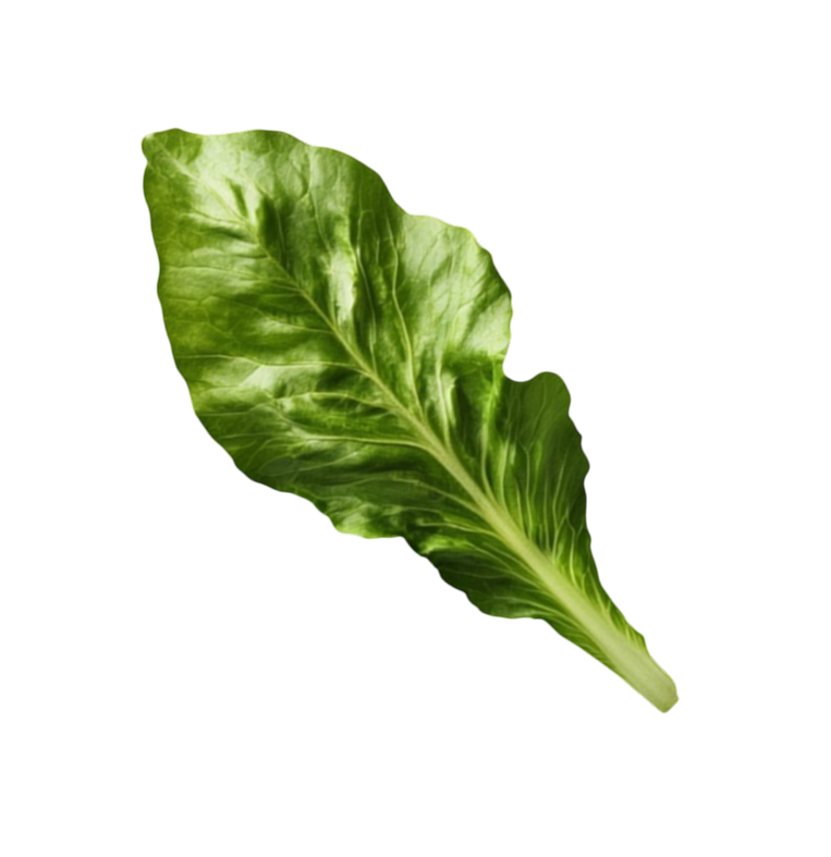 Planta | Dra. Roberta Soares em Cacoal