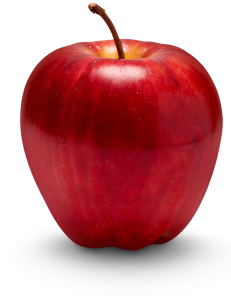 Dra. Roberta Soares | Nutróloga em Cacoal