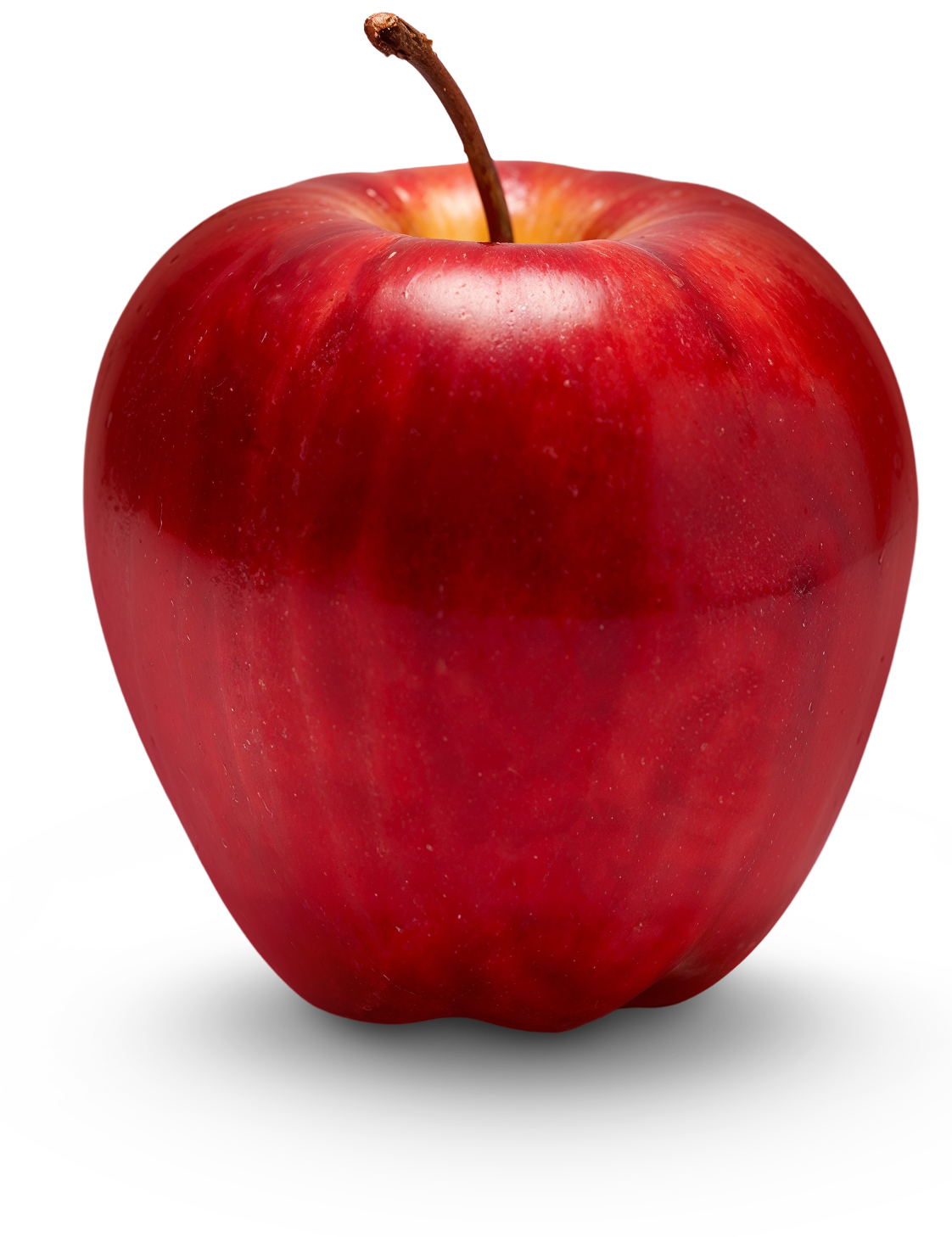 Dra. Roberta Soares | Nutróloga em Cacoal